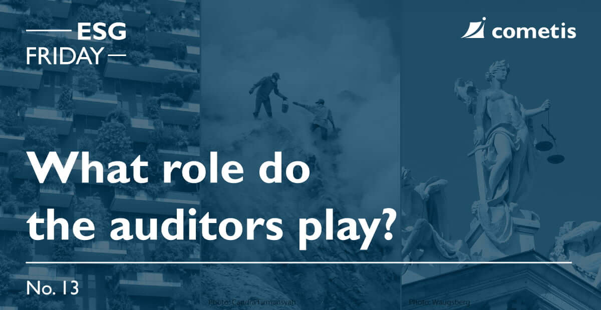 ESG Banner-What role do the auditors play?