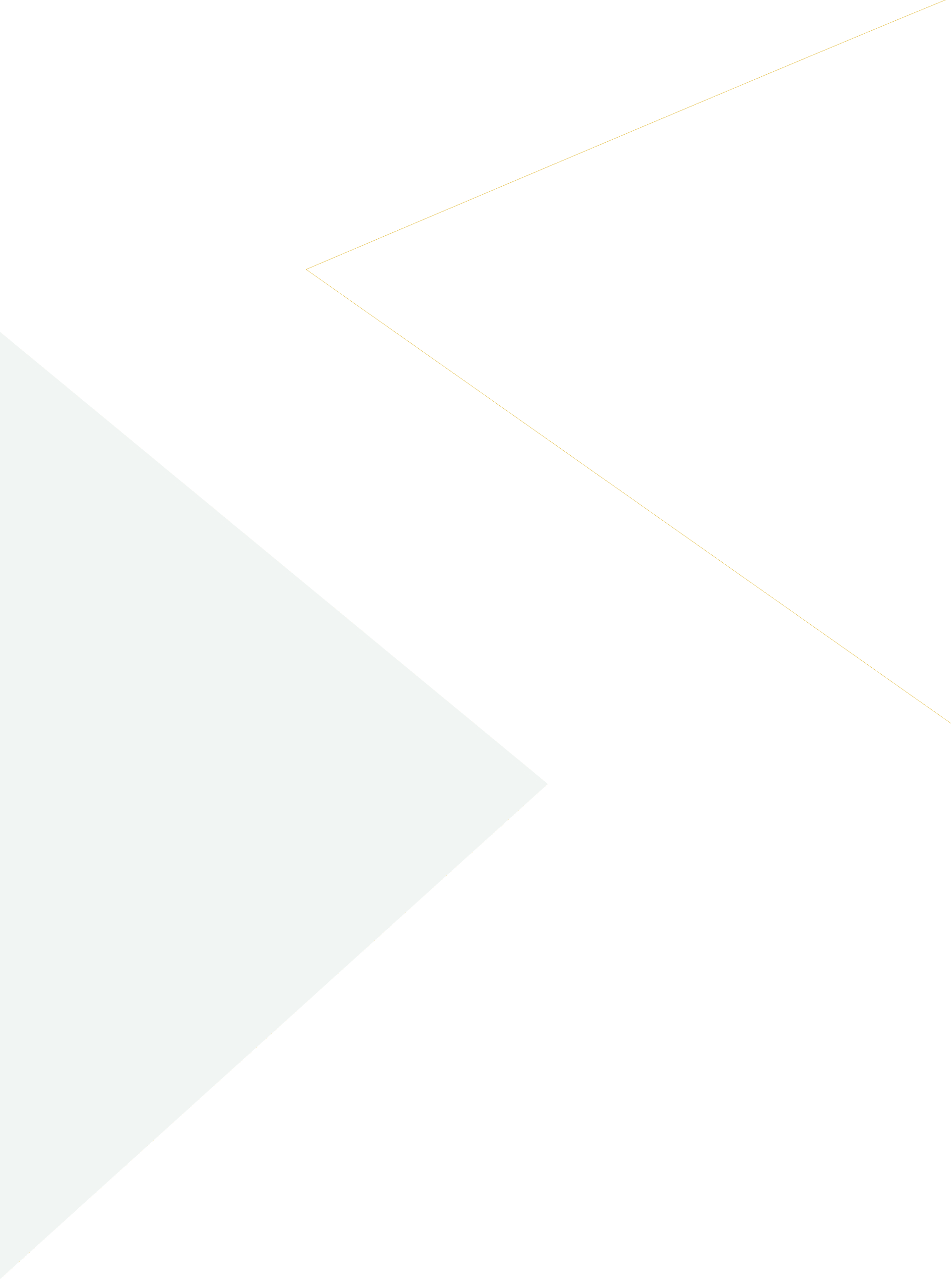 Investor-Relation-Background-Shape
